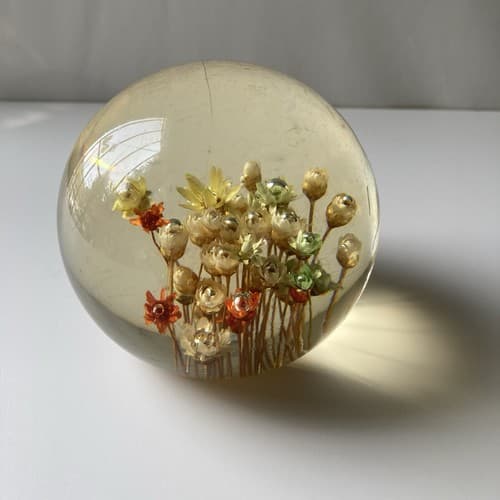 Vtg MCM Daisyglas Lucite Floral Dome Round Paperweight Dried Flowers Read Desc - Thumbnail 9
