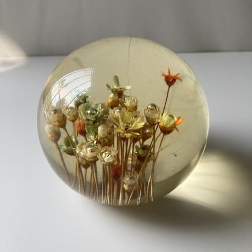Vtg MCM Daisyglas Lucite Floral Dome Round Paperweight Dried Flowers Read Desc - Thumbnail 8