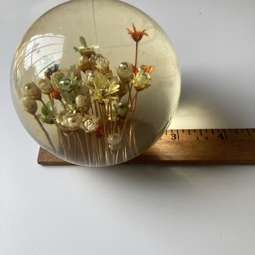 Vtg MCM Daisyglas Lucite Floral Dome Round Paperweight Dried Flowers Read Desc - Thumbnail 4