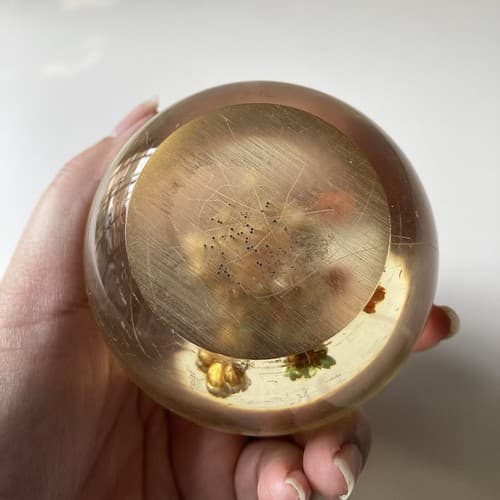 Vtg MCM Daisyglas Lucite Floral Dome Round Paperweight Dried Flowers Read Desc - Thumbnail 3