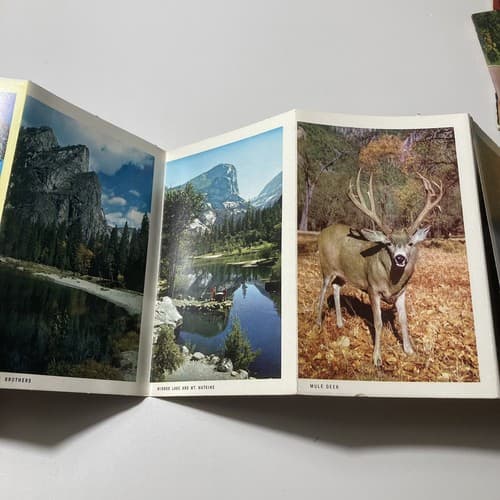 VTG SOUVENIR POSTCARD FOLDERS YOSEMITE,ROSE PARADE,NATIVE AMERICANS, DC LOT OF 5 - Thumbnail 17
