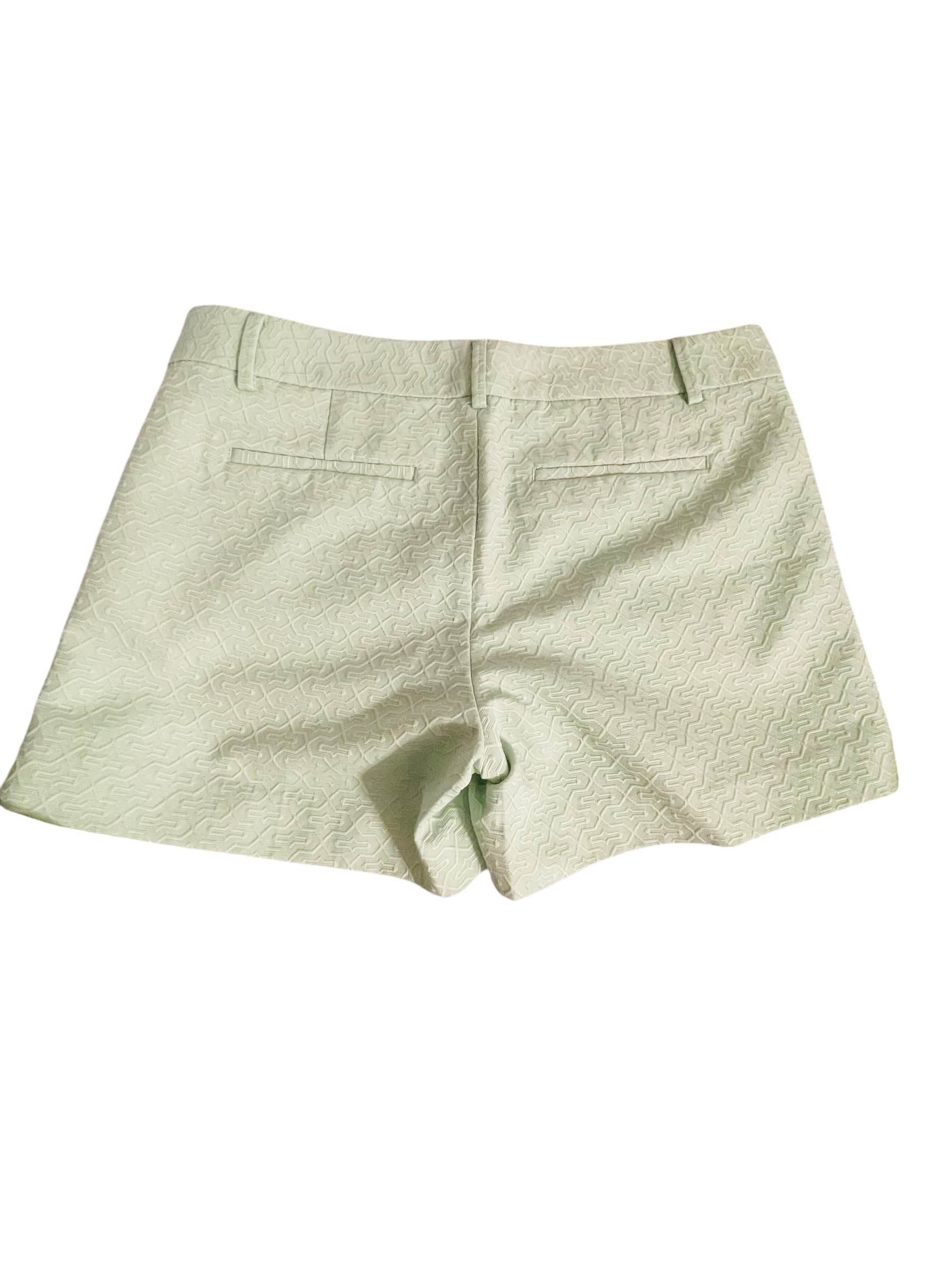 Banana Republic Mint Green Aztec Design Chino Shorts - Thumbnail 3