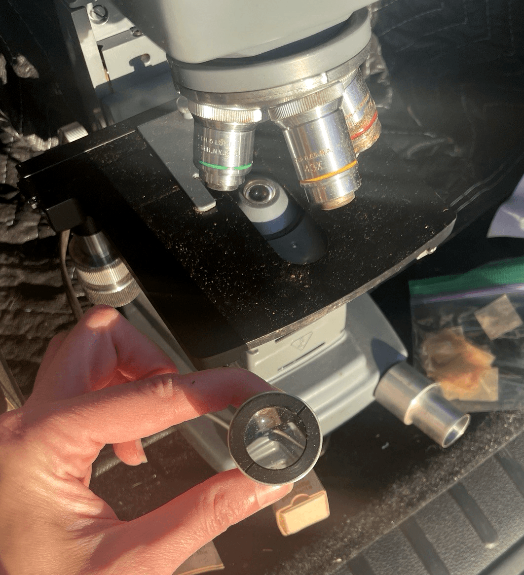 Bausch & Lomb Dynoptic Binocular Microscope Vintage Lab Scope with Travel Case - Thumbnail 5
