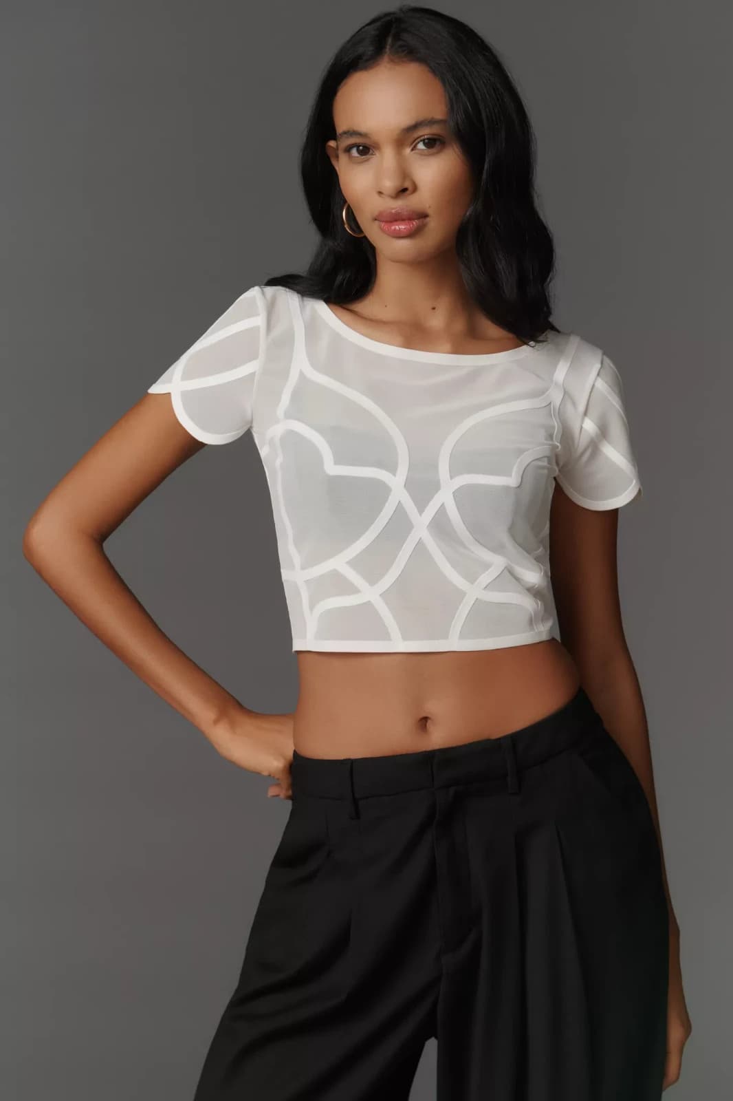 Anthropologie Sheer Mesh Crop Top White Nylon Soutache Baby Tee Size XS NWT - Thumbnail 2