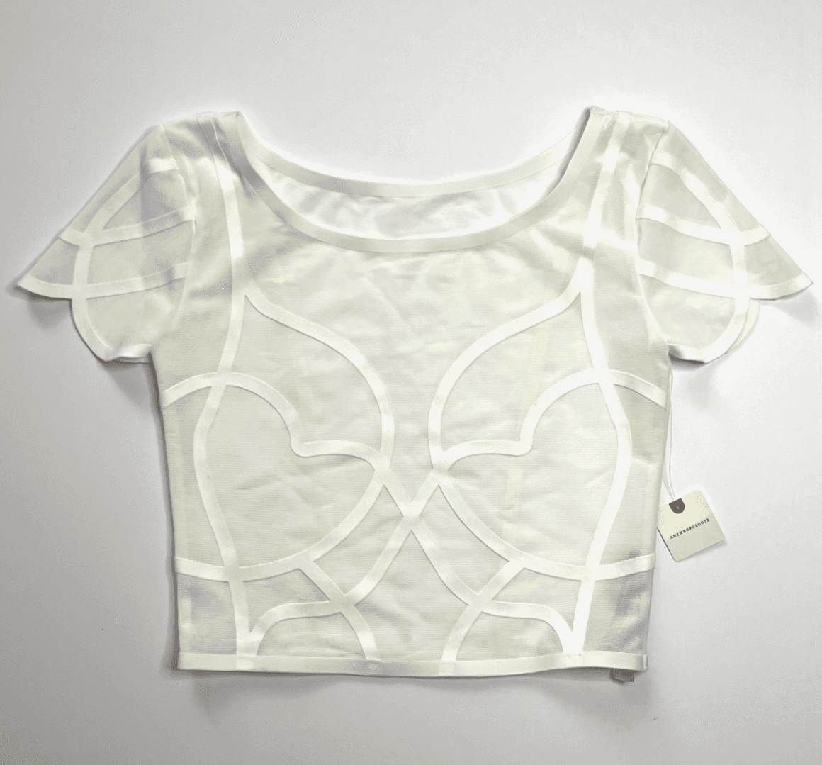 Anthropologie Sheer Mesh Crop Top White Nylon Soutache Baby Tee Size XS NWT - Thumbnail 4