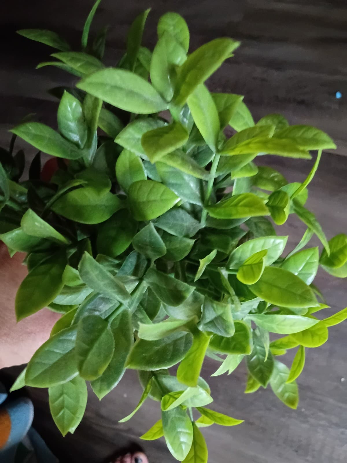 Pride artificial plant - Thumbnail 3