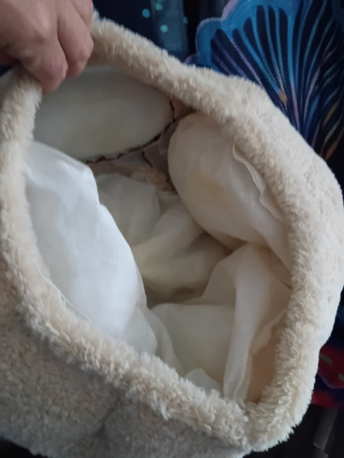 Plushie dog head - Thumbnail 4