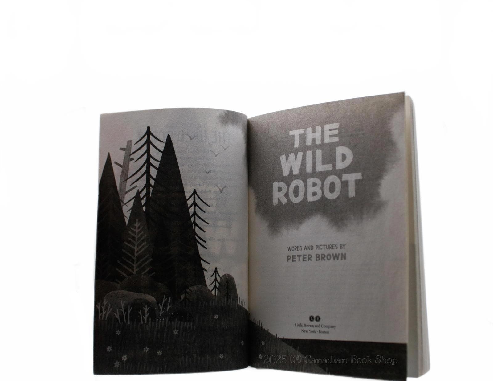 The Wild Robot by Peter Brown - Children's Book - Thumbnail 4