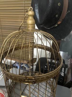 Wire Steel Dome Bird Cage Golden Ornate Decor - Thumbnail 4