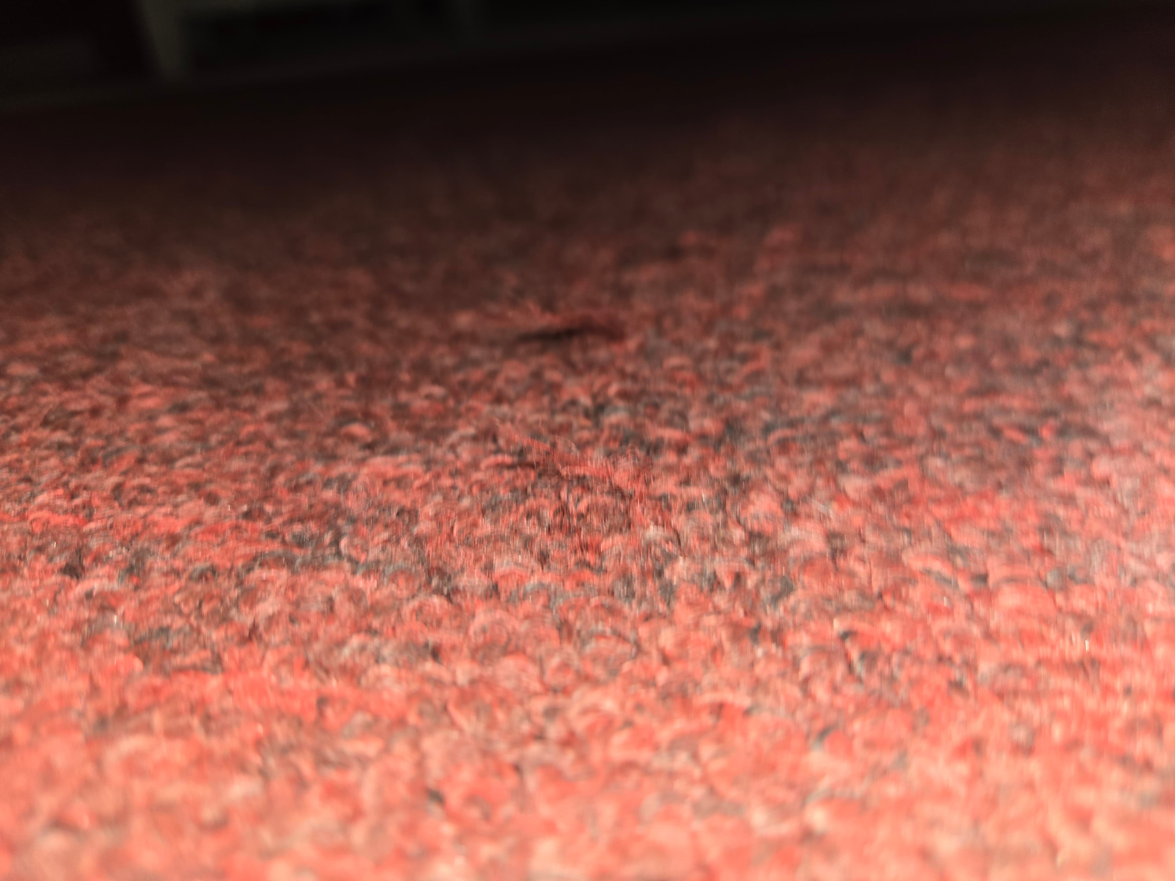 Red Area Rug with Subtle Texture - Thumbnail 9
