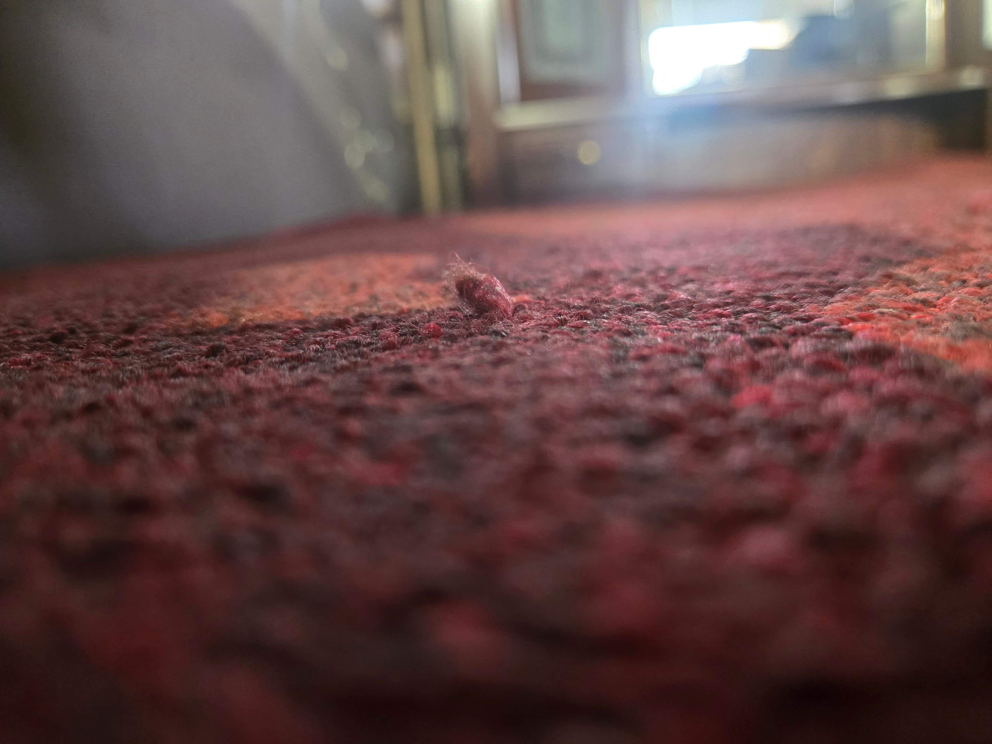Red Area Rug with Subtle Texture - Thumbnail 4