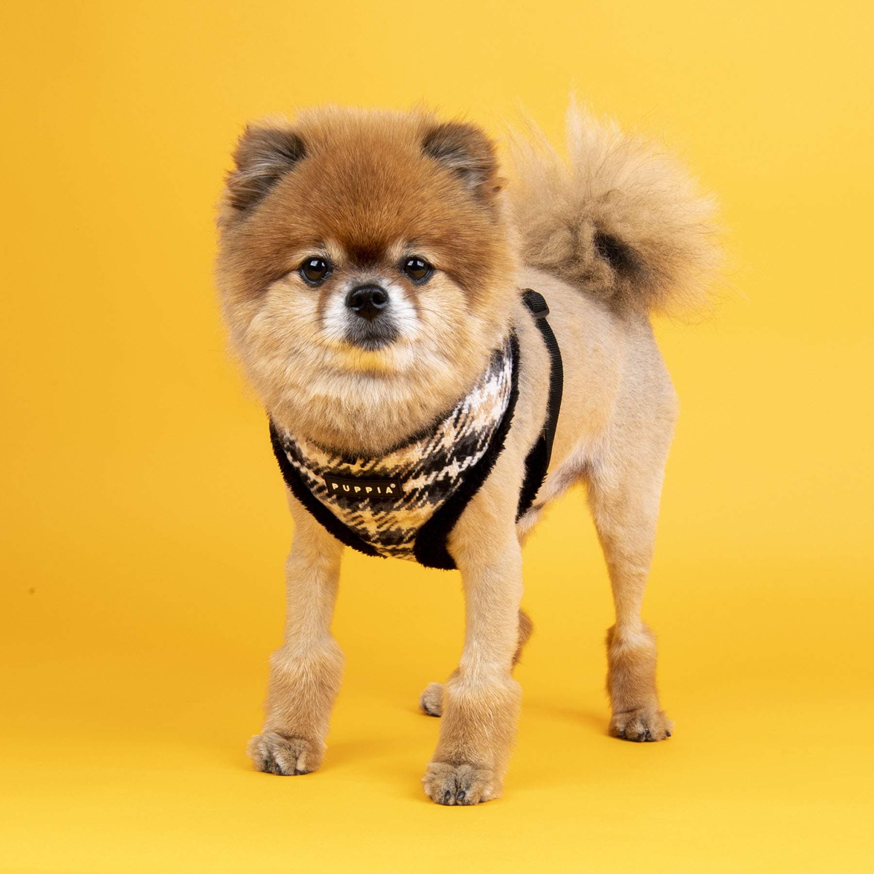Puppia Kellen Harness A - Black - S - Thumbnail 2