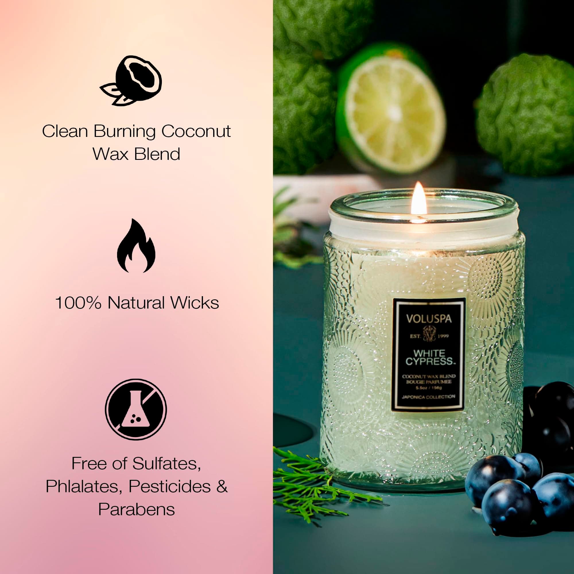 Voluspa White Cypresssmall Candle Jar 5.5 Ounce50 Hour Burn Time Coconut Wax - Thumbnail 5