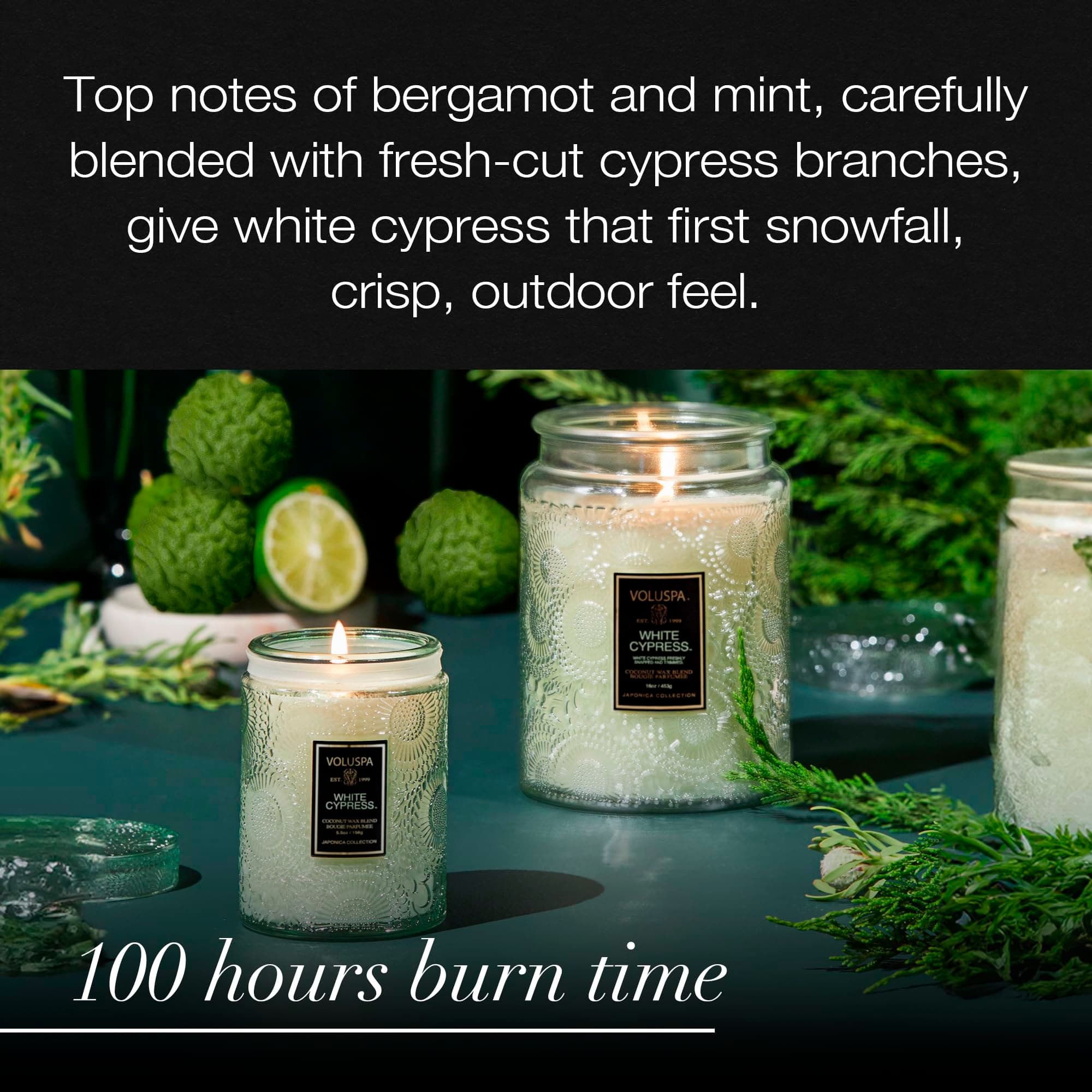 Voluspa White Cypresssmall Candle Jar 5.5 Ounce50 Hour Burn Time Coconut Wax - Thumbnail 2