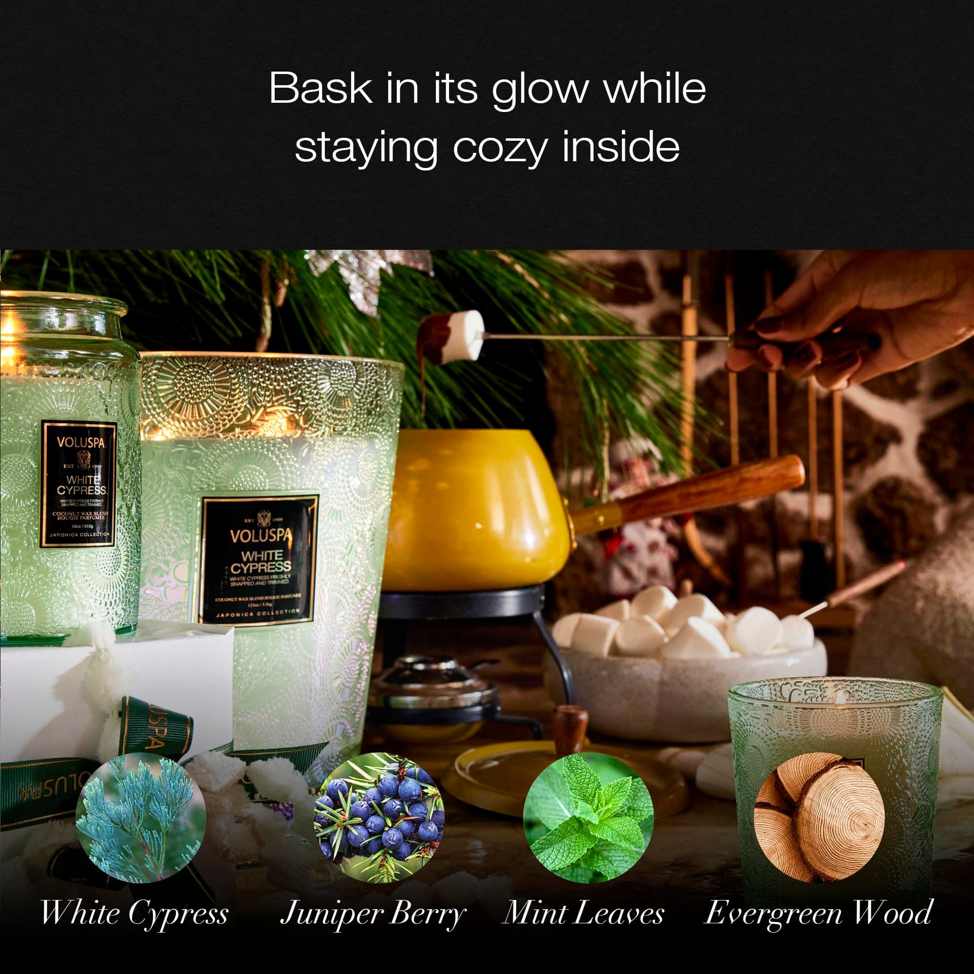 Voluspa White Cypresssmall Candle Jar 5.5 Ounce50 Hour Burn Time Coconut Wax - Thumbnail 4