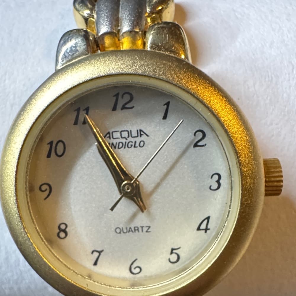 Timex Gold and Silver Acqua Indiglo Watch