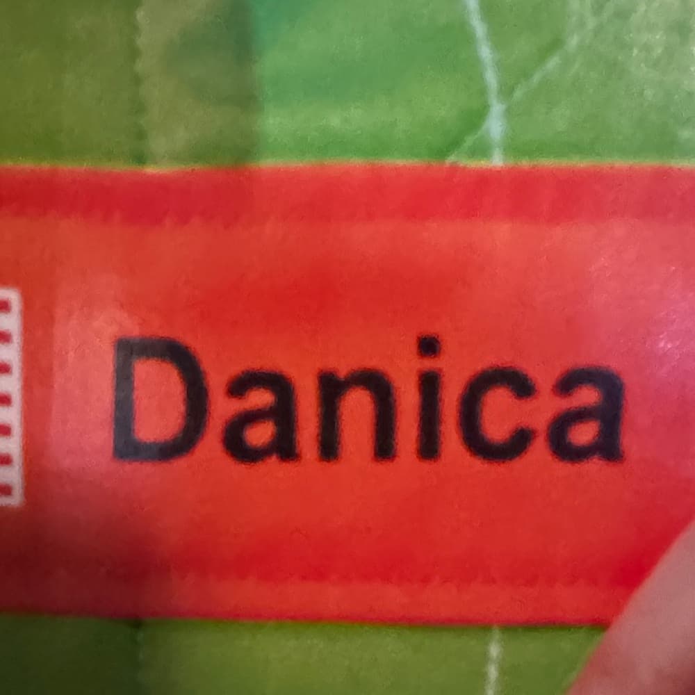 Danica Patrick life size cardboard cut out - Thumbnail 11