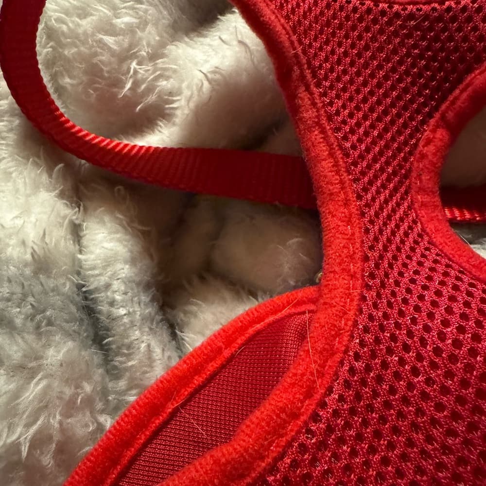 Red Mesh Dog Harness