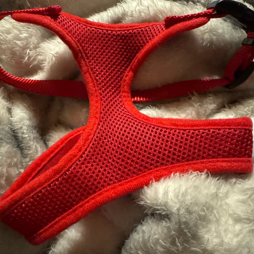 Red Mesh Dog Harness - Thumbnail 7