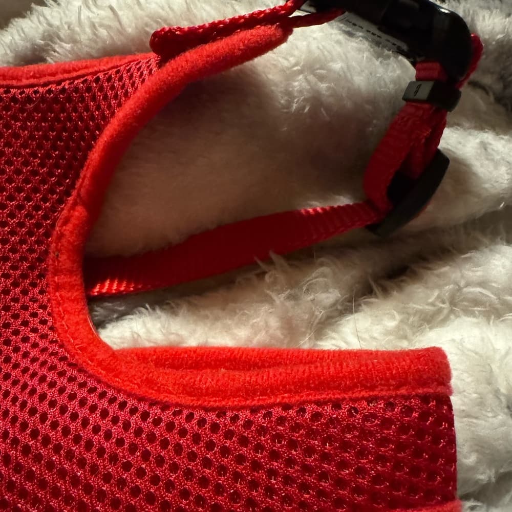 Red Mesh Dog Harness - Thumbnail 2