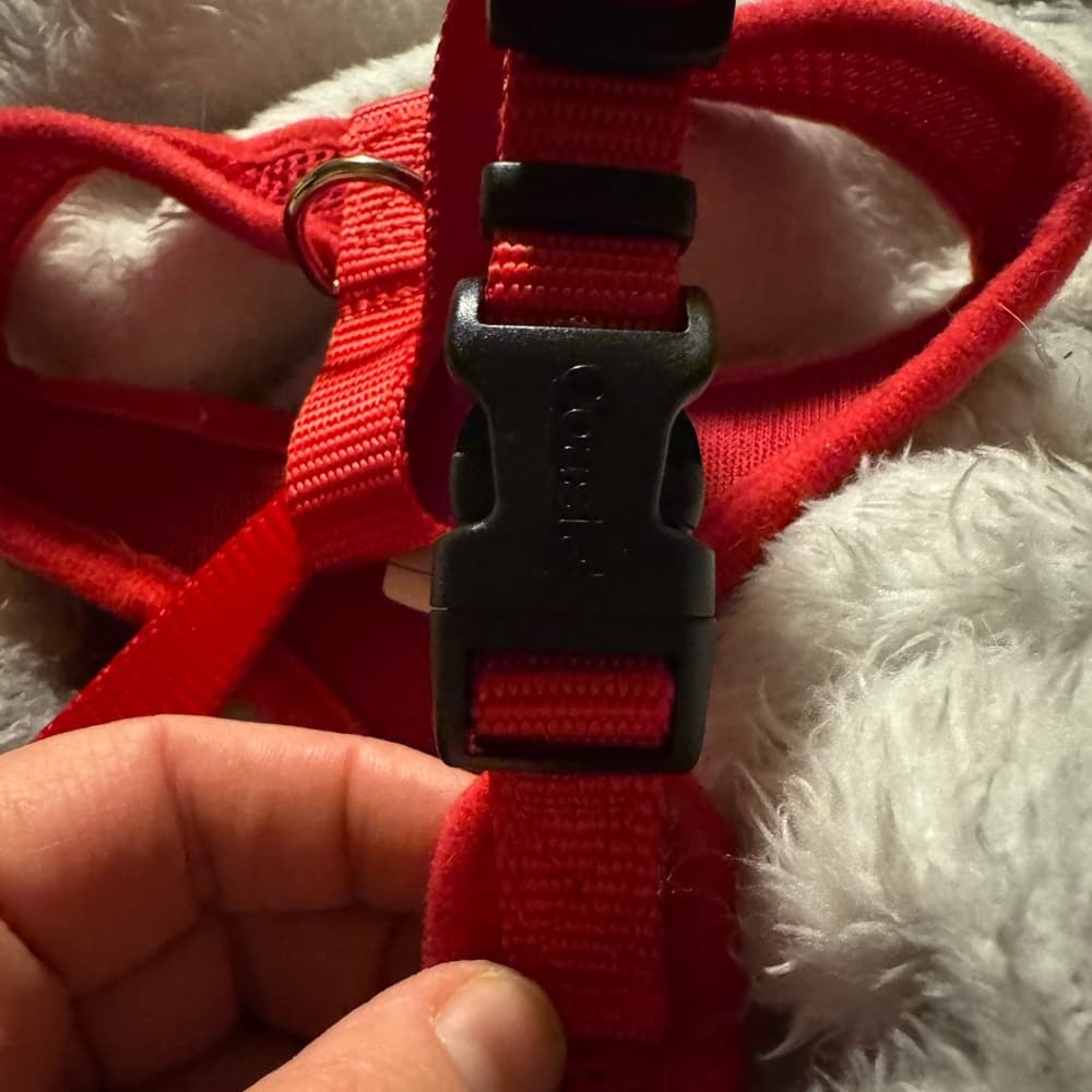 Red Mesh Dog Harness - Thumbnail 3