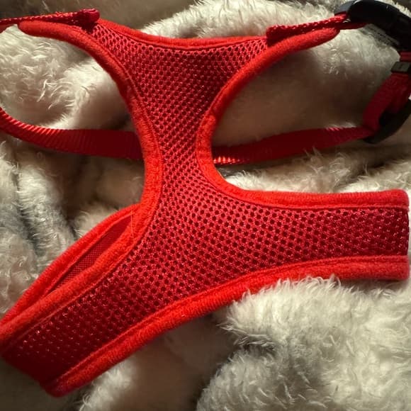 Red Mesh Dog Harness - Thumbnail 8