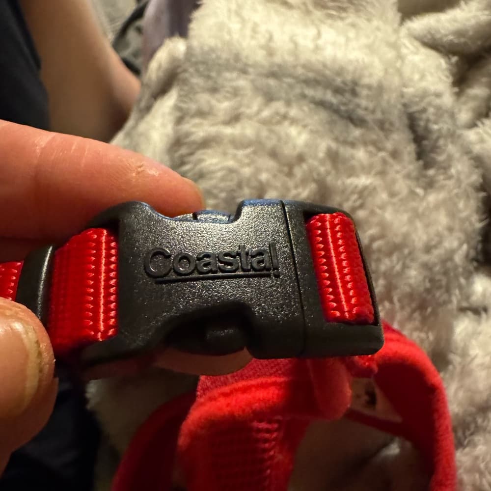 Red Mesh Dog Harness - Thumbnail 4