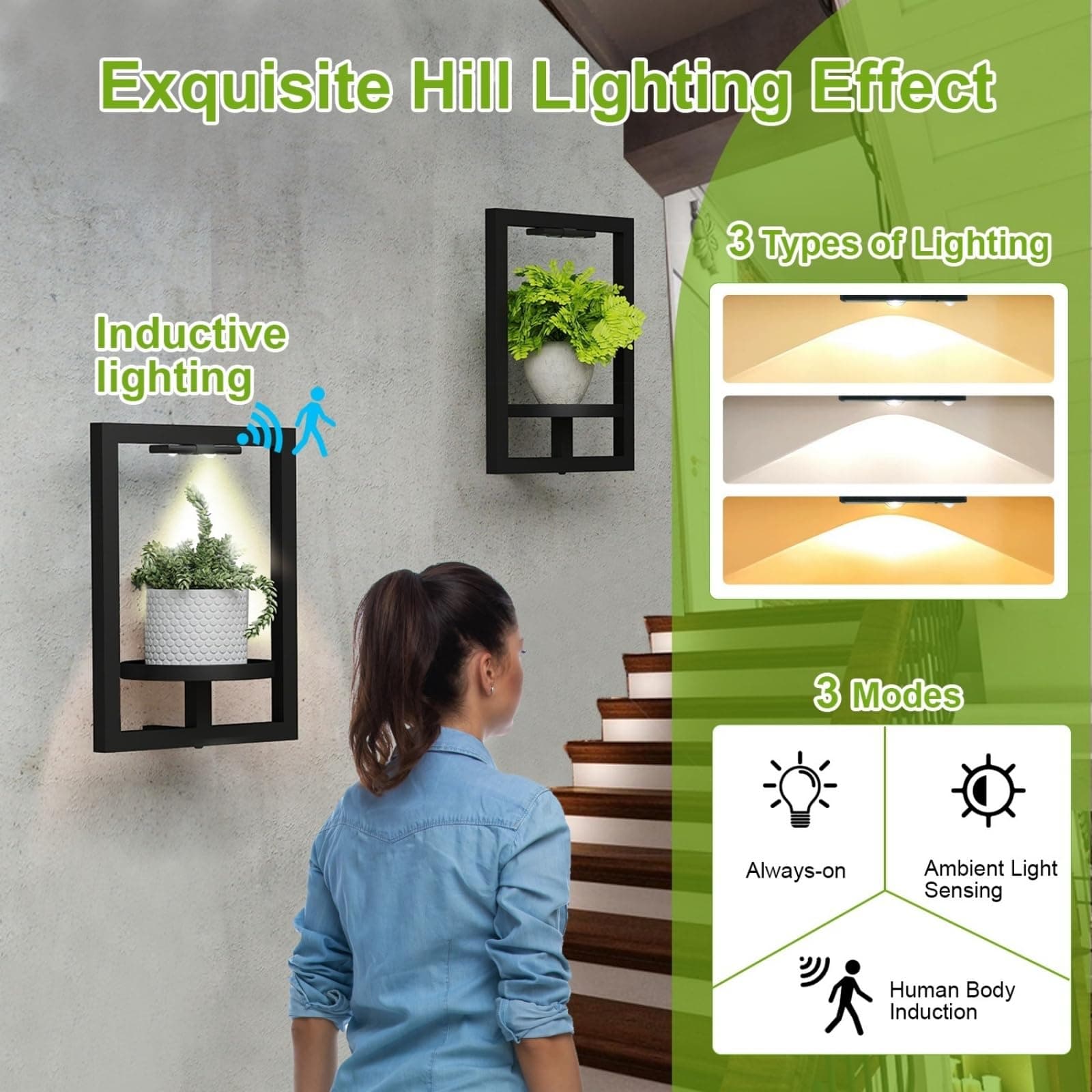 BAOYOUNI 2 Pack Picture Frame Wall Plant Holder with Light,Metal Window Plant Sh - Thumbnail 7