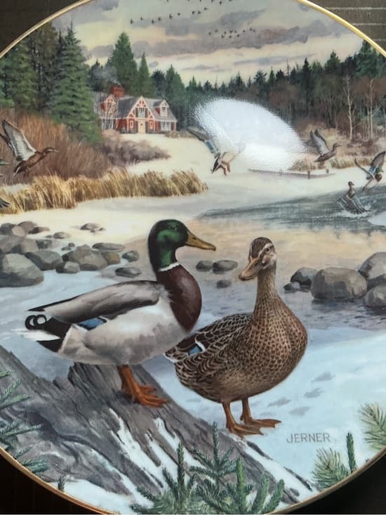 ★ Edwin M Knowles The Green-Winged Teal Collector Plate COA Box - Thumbnail 4