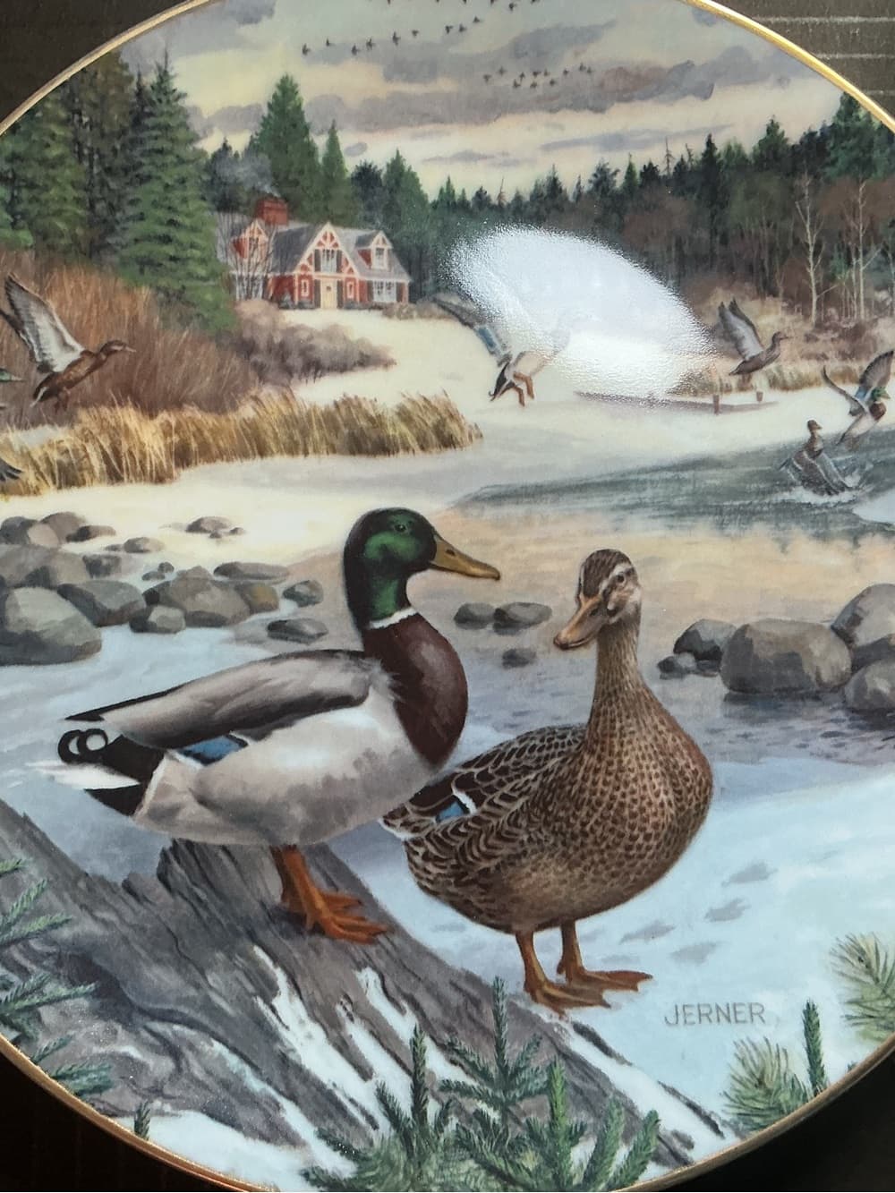 ★ Edwin M Knowles The Green-Winged Teal Collector Plate COA Box - Thumbnail 3
