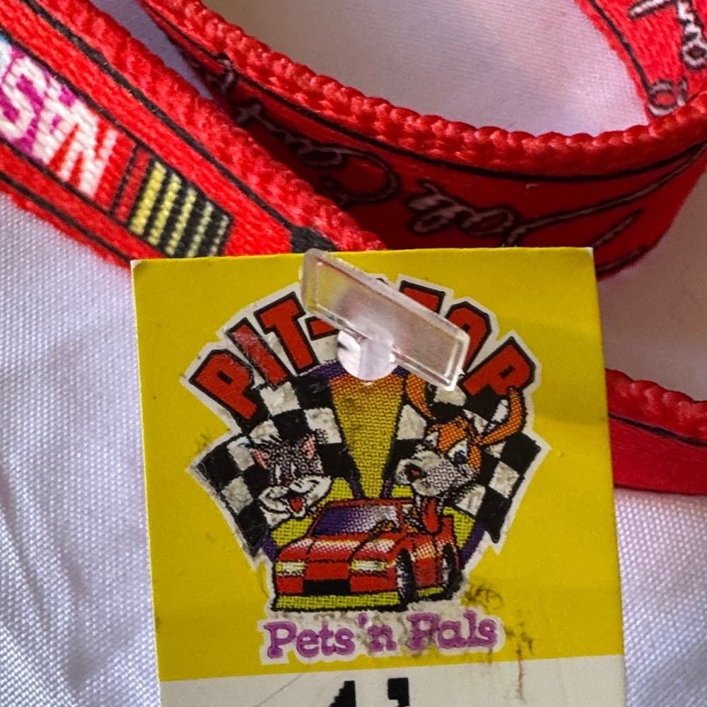 Dale Earnhardt Jr 4’ dog leash