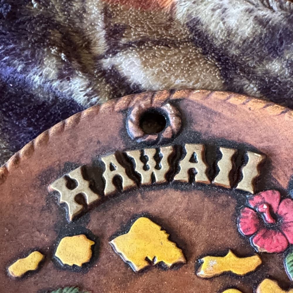 ★ Hawaii Souvenir Wall Plaque Hawaiian Islands Tropical Island Decor