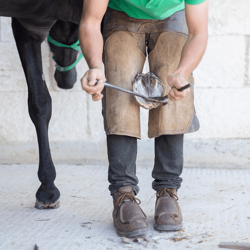 Premium Hoof Tester for Horses - 13" Size, Veterinary-Grade, Su - Thumbnail 2