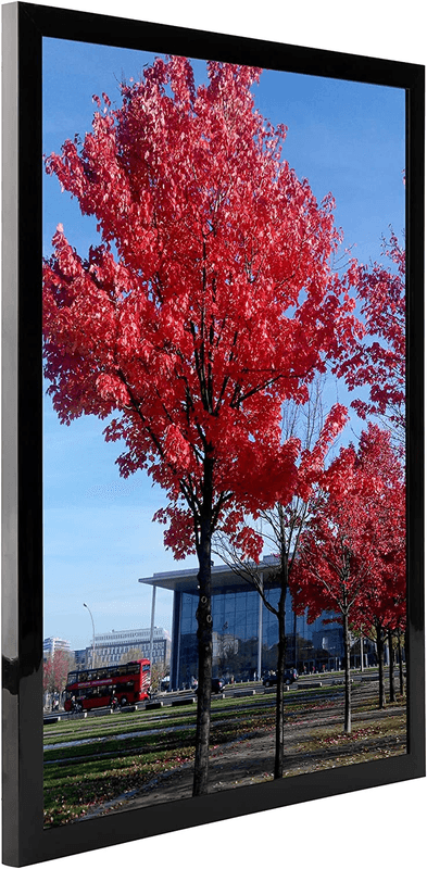 11X17 Picture Frame for Wall Black, Display Pictures 11X17 Poster Frame, - Thumbnail 9