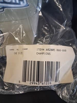 New England Patriots Super Bowl XXXIX Champions Reebok Baseball Cap NIP - Thumbnail 3