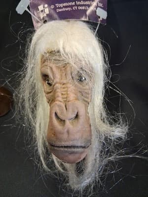 90s Mini Shrunken Head Window Stick On by Topstone Industries with Tag - Thumbnail 4