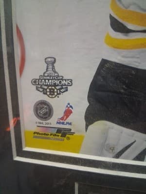 TIM THOMAS AUTOGRAPHED 8X10 COLOR PHOTO With COA - BOSTON BRUINS! - Thumbnail 5