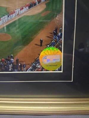 MLB 2004 World Series Fenway Park Boston Red Sox Framed Photo Picture - Thumbnail 4