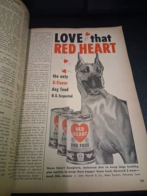 Lot Family Circle Magazine July 1948 & July 1950 Rodeo Color Home Canning Garbo - Thumbnail 7