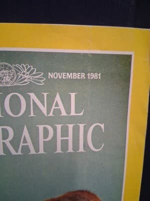 National Geographic Magazine November 1981 The Natural World of Aldo Leopold - Thumbnail 2