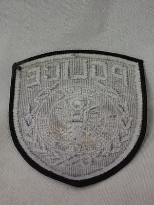 FEDERAL PROTECTIVE SERVICES (Subdued) WASHINGTON DC Police Patch - Thumbnail 2