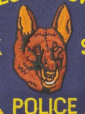 GEORGETOWN – POLICE K-9 UNIT - KENTUCKY KY Sheriff Police Patch CANINE DOG - Thumbnail 2