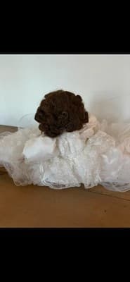 Porcelain Doll Bride White Wedding Dress & Veil Venice Collection Handmade - Thumbnail 8