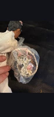 Daddy Long Legs Doll Maggie With Original Box Paperwork - Thumbnail 7