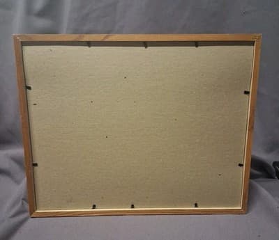 BOSTON RED SOX 2004 League Championship Series 8 x 10" Arod Arroyo Framed - Thumbnail 5