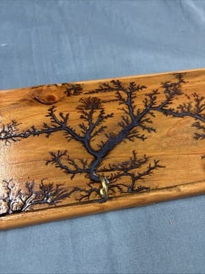 High Voltage Wood Art, Electrocuted Burned Wall Hangers Coat Or Key Holder - Thumbnail 3