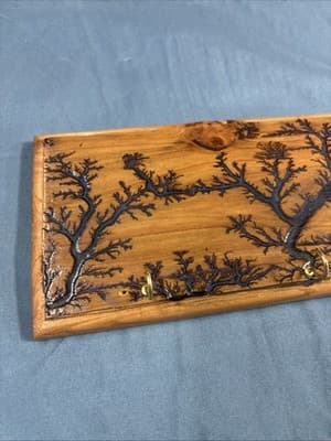 High Voltage Wood Art, Electrocuted Burned Wall Hangers Coat Or Key Holder - Thumbnail 2