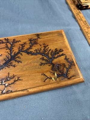 High Voltage Wood Art, Electrocuted Burned Wall Hangers Coat Or Key Holder - Thumbnail 4