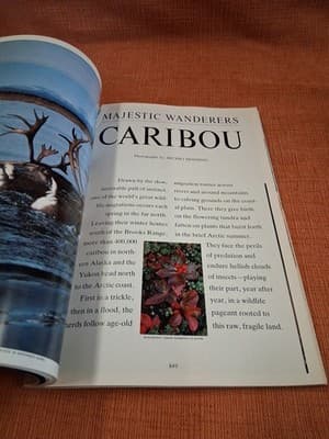 National Geographic Dec 1988 Holographic Cover With Endangered Earth Map - Thumbnail 6