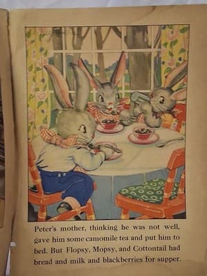 Vintage 1938 Peter Rabbit Children's Storybook - Thumbnail 7